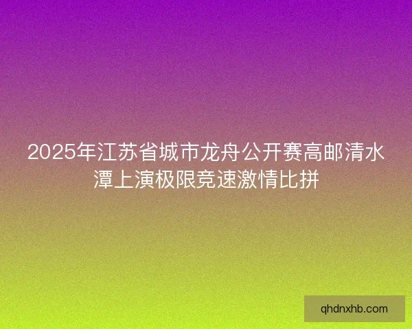 2025年江苏省城市龙舟公开赛高邮清水潭上演极限竞速激情比拼